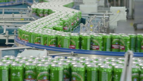 線上線下多維賦能，青島啤酒以品質致敬冬奧會網(wǎng)站建設